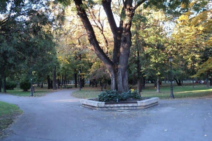 Gradski park u Zemunu